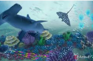 沙巴官网入口网站客户端